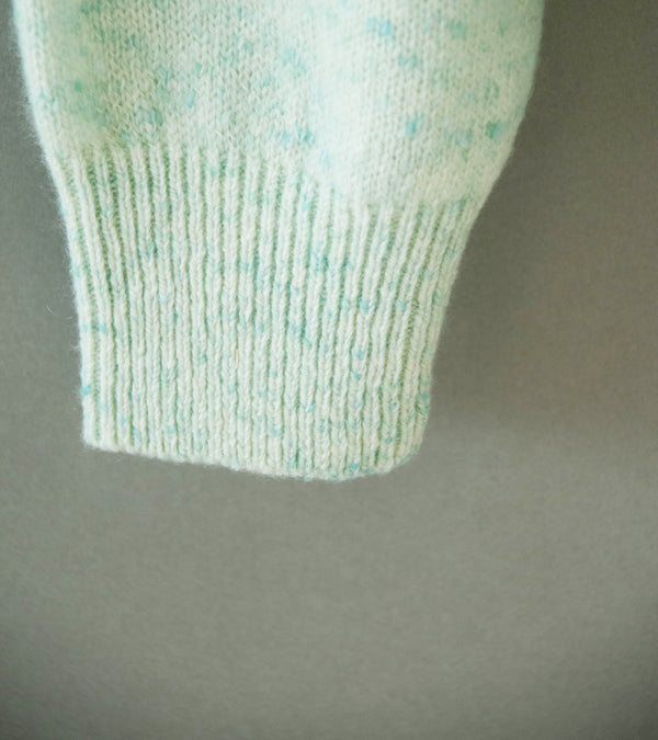 Auralee 'Cashmere Nep Knit Polo' (Mix Mint)