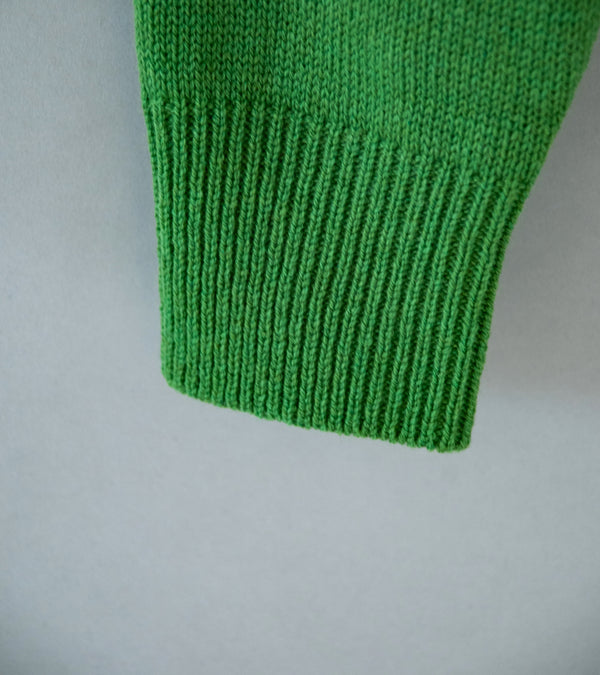 Auralee 'Light Cashmere Knit V-Neck P/)' (Green)